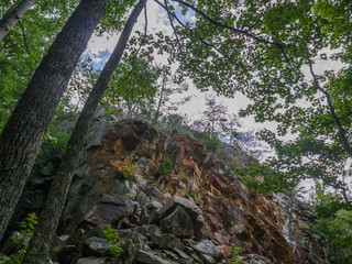 looking up at rock wall from floor of gorge along high falls trail in the talladega national forest, alabama, usa