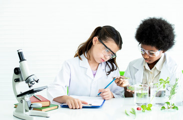 Little girl and afro american boy with curly hair as a biologist studying plant and doing botany...