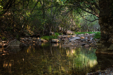 Calm river flowing in the forest reflecting the natural environment, Las Batuecas Natural Park, Salamanca, Spain