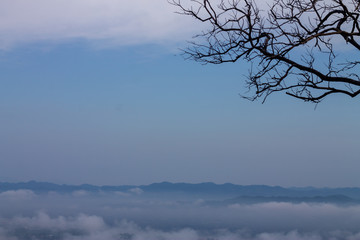 Landscape lot of fog.Fog cover the mountain forest.