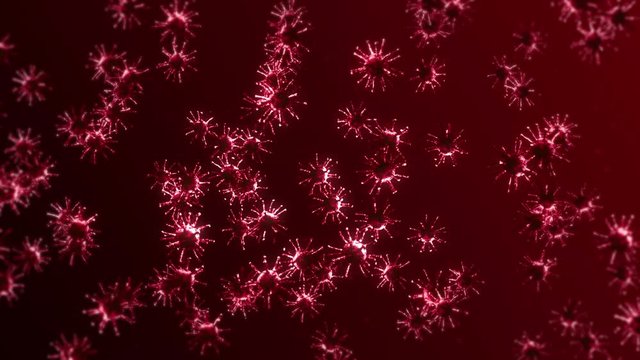 Flying many virus cells on red background. Medical concept, Microscopic illustration. 3D animation of virus molecule rotating. Loop animation.