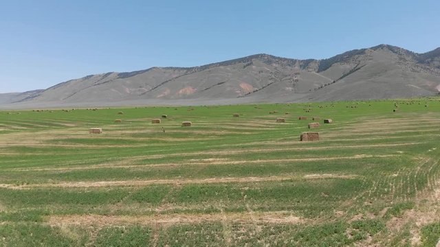 Aerial view of a plantation field in Wyoming, USA