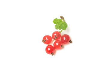 Red currant berries on a white background