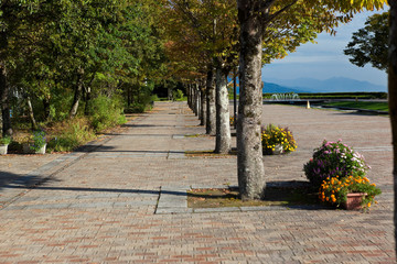 夕暮れ前の公園の散歩道	