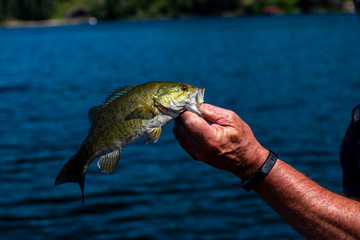 Fishing on a lake