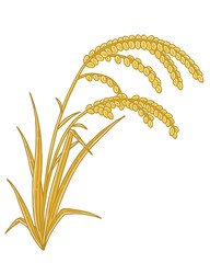 Golden color Korean rice. Vector illustration.