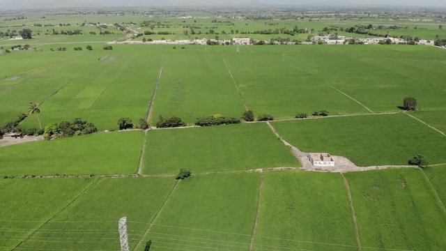 Campo Agr&iacute;cola