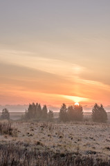sunset in the desert