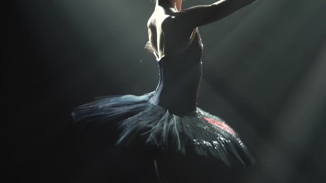 Silhouette of a graceful ballerina in a chic image of a black swan. Classic ballet pas. Shot in a dark studio with smoke and neon lighting. Slow motion. Close up.