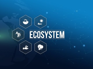 ecosystem