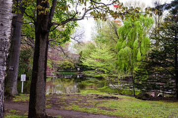 The beautiful  landscape of spring garden.