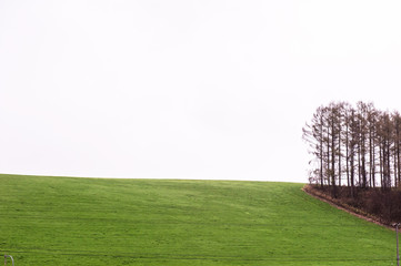 Agricultural field,brown soil farm landscape,Line of arable land.