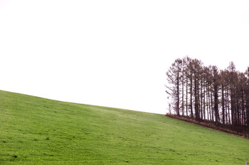 Agricultural field,brown soil farm landscape,Line of arable land.