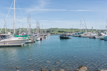 Fototapeta premium Bodega Bay, CA, EUA - MARCH 23 2016: Boat and yatch on Bodega Bay, California, city where filmed The Birds by Alfred Hitchcock