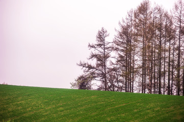 Agricultural field,brown soil farm landscape,Line of arable land.