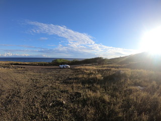 The Maui countryside