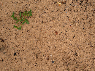 The naturale background