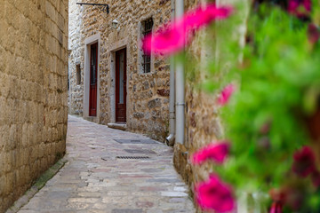 Picturesque streets of the medieval Old town with blurred flowers in the foreground in Kotor, Montenegro in the Balkans