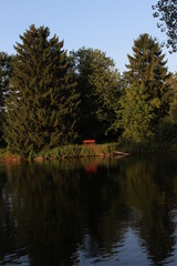 Obraz premium reflection of trees in a lake