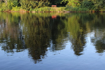 Obraz premium reflection of trees in the lake