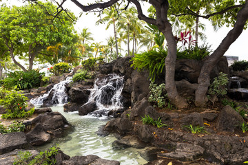 Naklejka na ściany i meble Cozy corner of an urban park with tropical plants and waterfall. Honolulu, Waikiki, Oahu