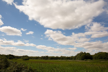 Fototapeta na wymiar Fluffy white clouds in blue sky over the water meadow with no people in view