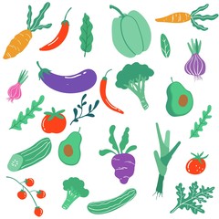 Big set with hand drawn colorful doodle vegetables and greens. Sketch style vector collection. Flat icons: tomato, onion, cucumber. Vegetarian healthy food. Vegan, farm, organic, natural