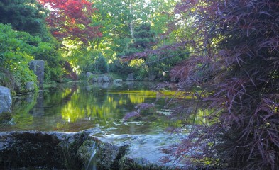 日本庭園　夏　北海道