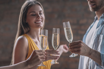 Joyful people drinking alcohol at the party