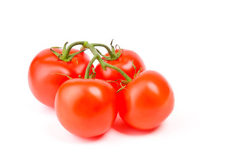 Tomatoes on a green branch on a white background.