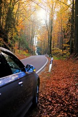  Autumn travel and trips.Road view.  Car on the autumn road.Silver color car on the road with autumn bright trees on a sunny evening.Autumn landscape. Fall season.