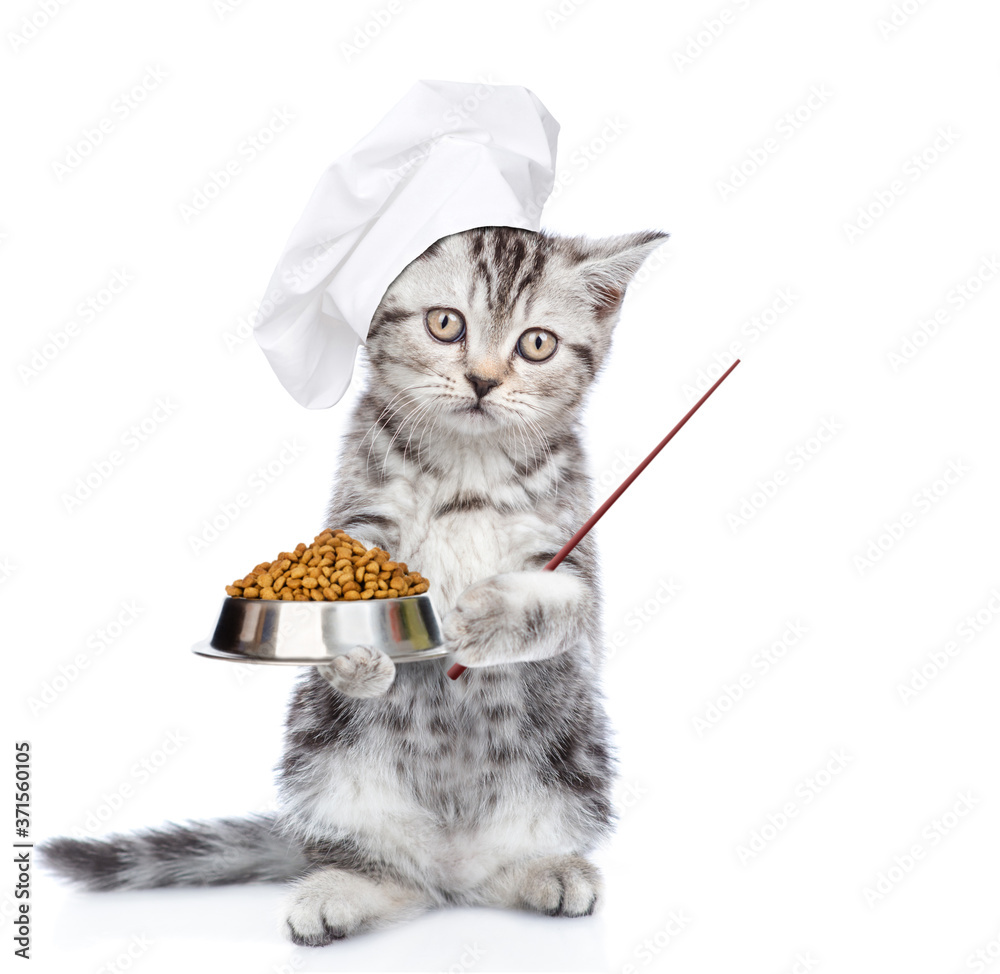 Poster kitten wearing chef's hat stands with bowl of dry food and points away on empty space. isolated on w