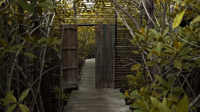 Puerta en Manglar