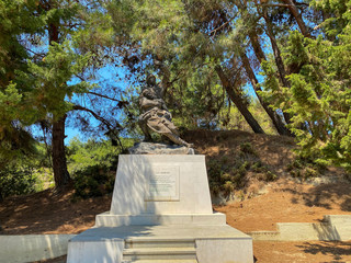 blue sky and pine trees