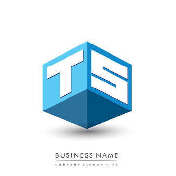 Letter TS logo in hexagon shape and blue background, cube logo with letter design for company identity.