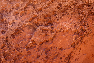 Pockmarked sandstone texture in Utah Desert.