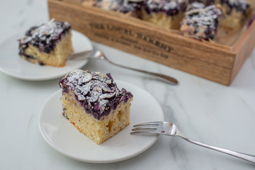 Piece of homemade blueberry pie on the plate 