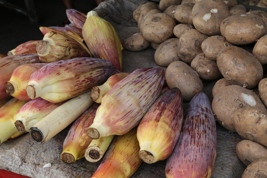 Bananenbl&uuml;te und Singkamas werden auf dem Markt angeboten, Philippinen