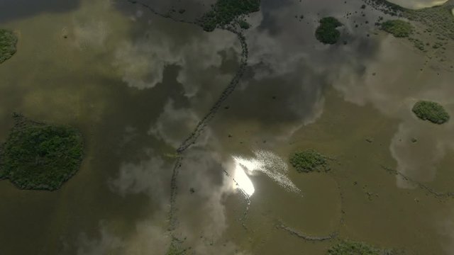 islas de manglar con reflejo en el agua cenital en Bacalar
