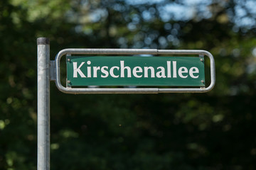 Friedhof, Grabstein, Statue	