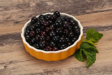 Fresh ripe sweet black currant