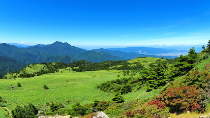 Fototapeta na wymiar 瓶ヶ森からの石鎚山4