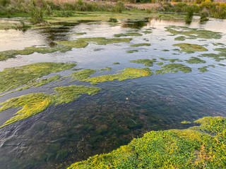 amazing river stream rocks flowing. Spectacular river view in the evening sun. river wild rock view. River wild rocks. 