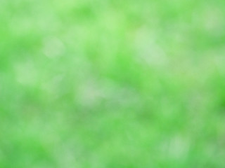 Blurred green nature and soft bokeh background