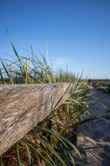 Am Rande der Dünen auf dem Weg zum Meer