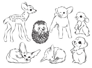 Hand drawing style of animal collection black and white