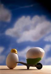 egg construction background