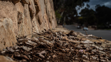 Sticks, bark texture mulch on rock wall