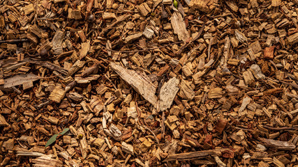 sticks bark, mulch texture 