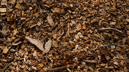 Sticks, bark texture mulch